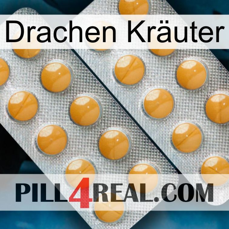 Drachen Kräuter levitra2